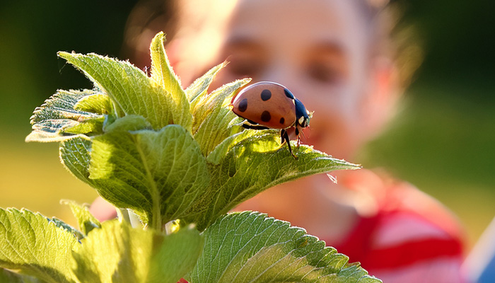 girl observing a ladybug